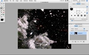 seashore for mac system requirements seashore for mac system requirements